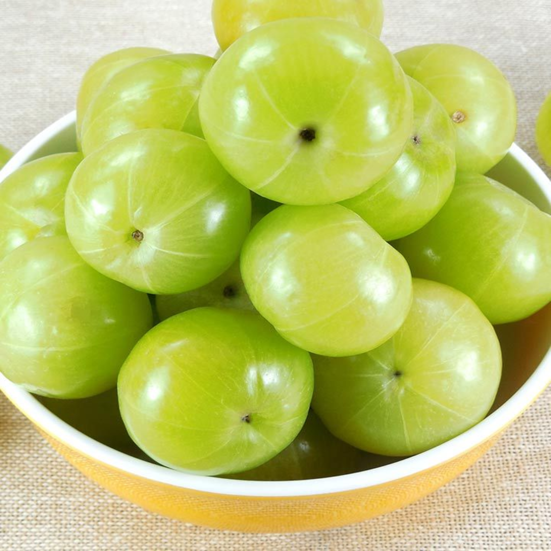 Wholesale Amla Supplier – UAE